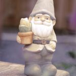 garden gnome, dwarf, garden